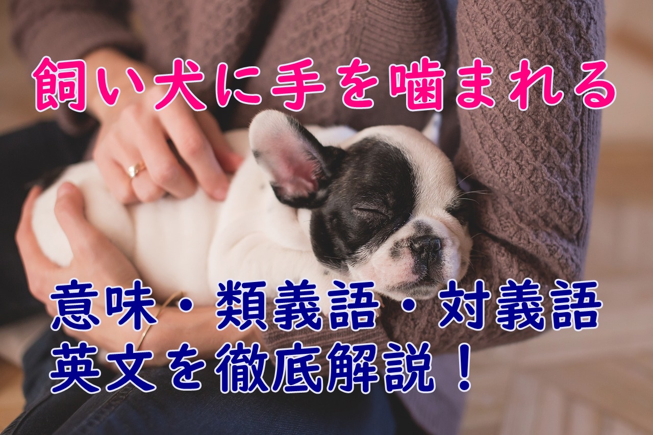 飼い犬に手を噛まれる