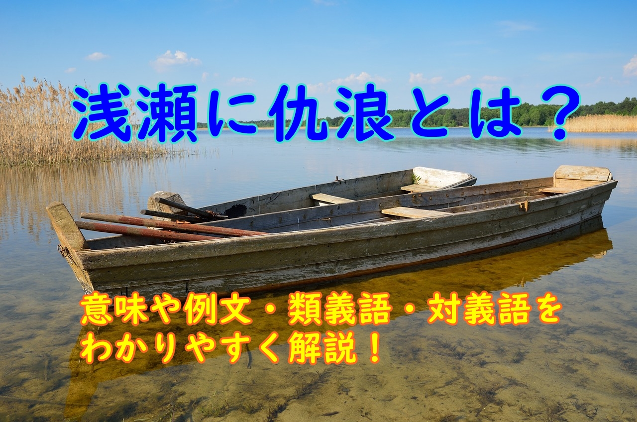 浅瀬に仇浪とは？